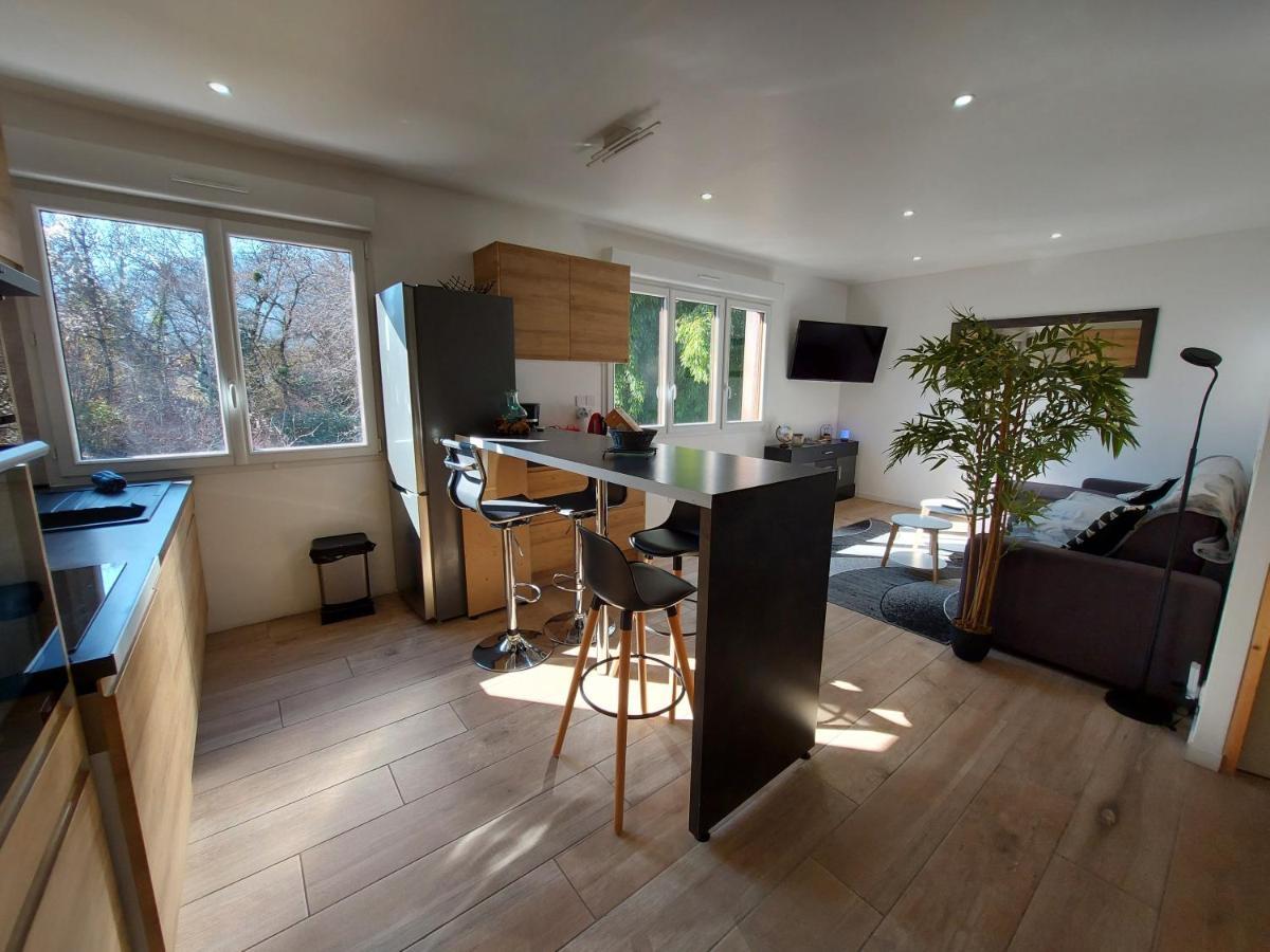 Superbe Appartement Au Centre De St Jorioz Saint-Jorioz Esterno foto